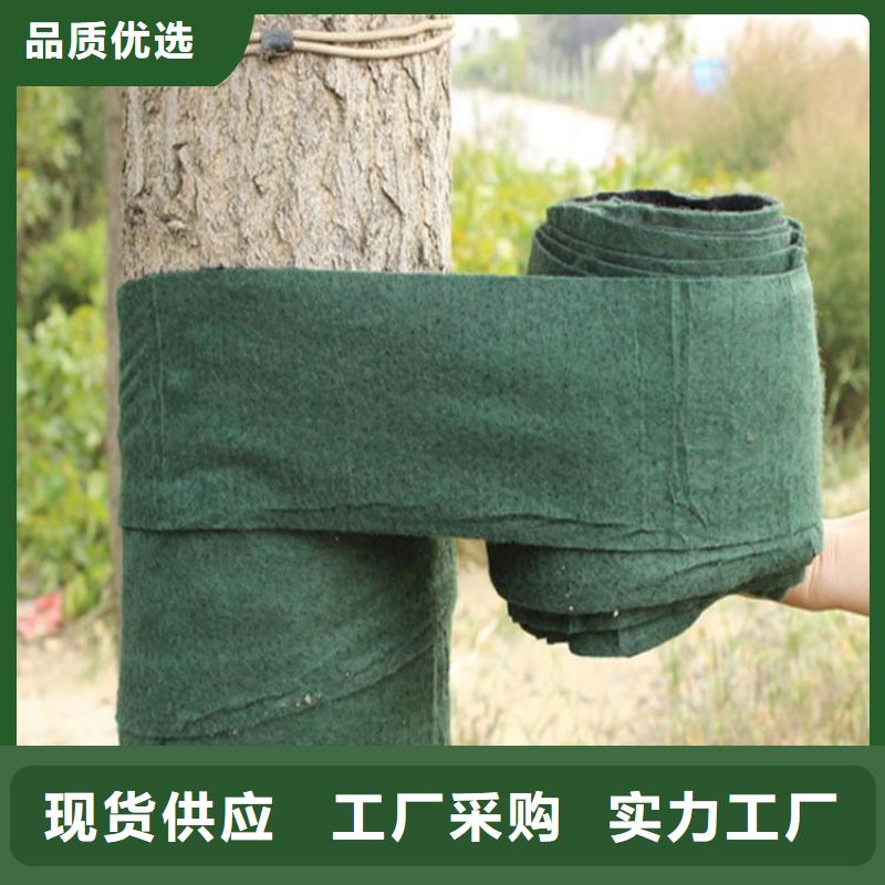 裹树布【植草格】厂家直营本地品牌