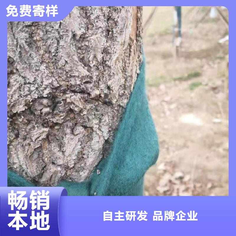 裹树布生态袋货源稳定老客户钟爱