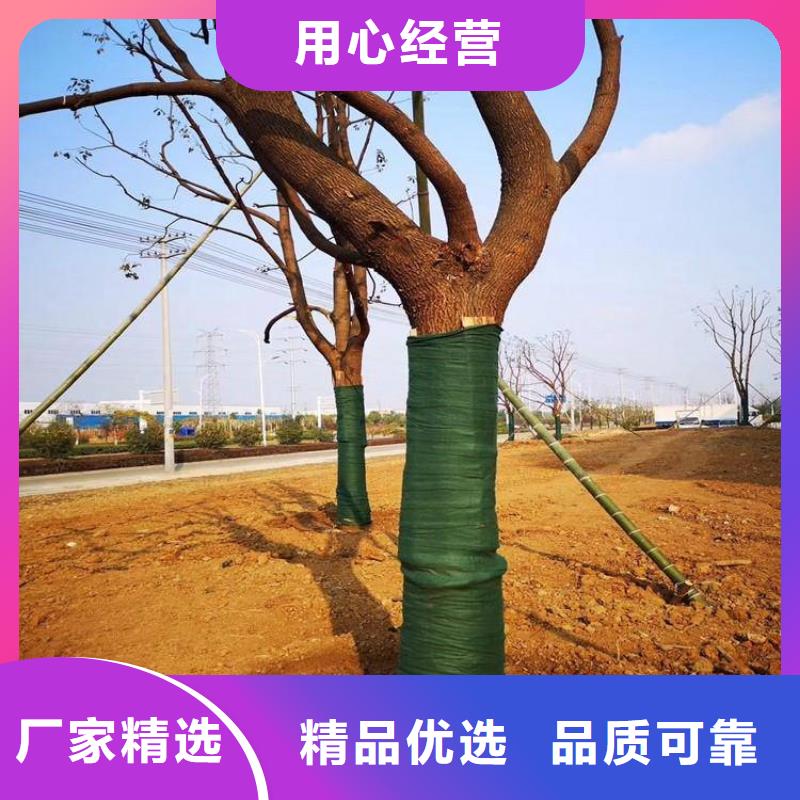 裹树布_防渗膜大量现货本地服务商