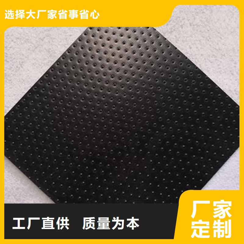 【土工膜】三维植被网厂家大量现货同城制造商
