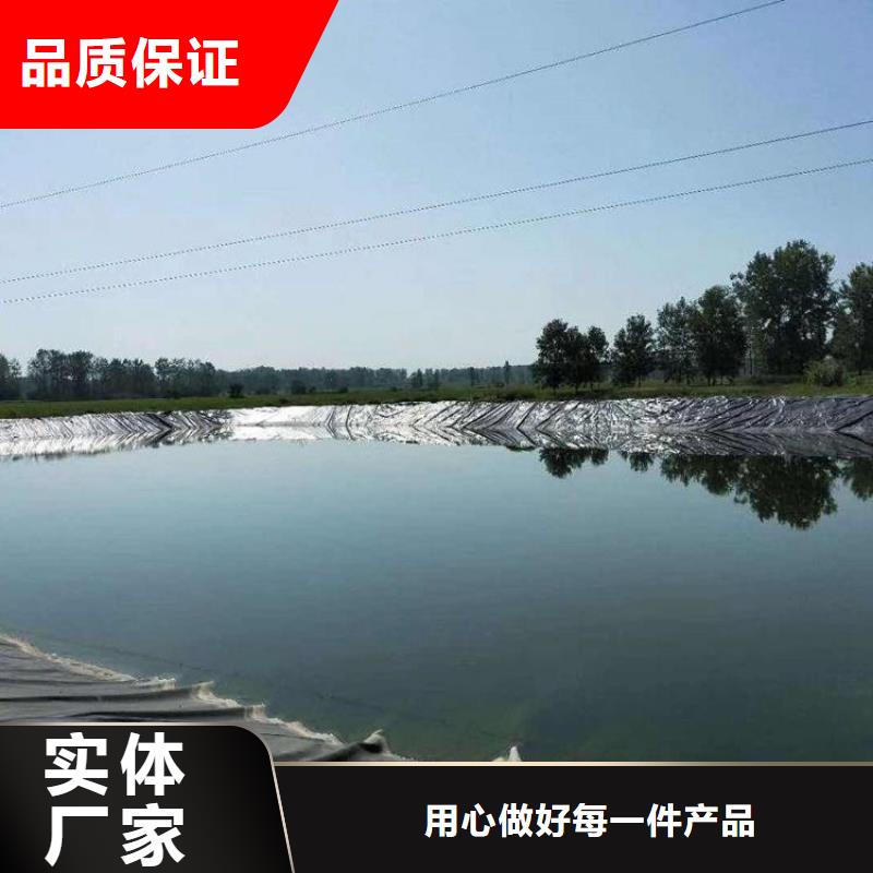 【土工膜】土工格栅实力公司本地制造商