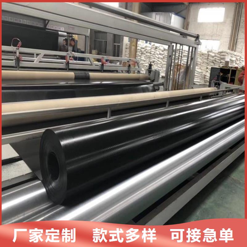 土工膜土工格栅现货充足量大优惠同城经销商