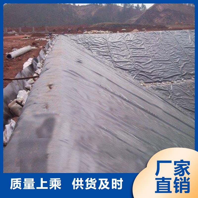 土工膜【拉筋带】订制批发来图来样定制