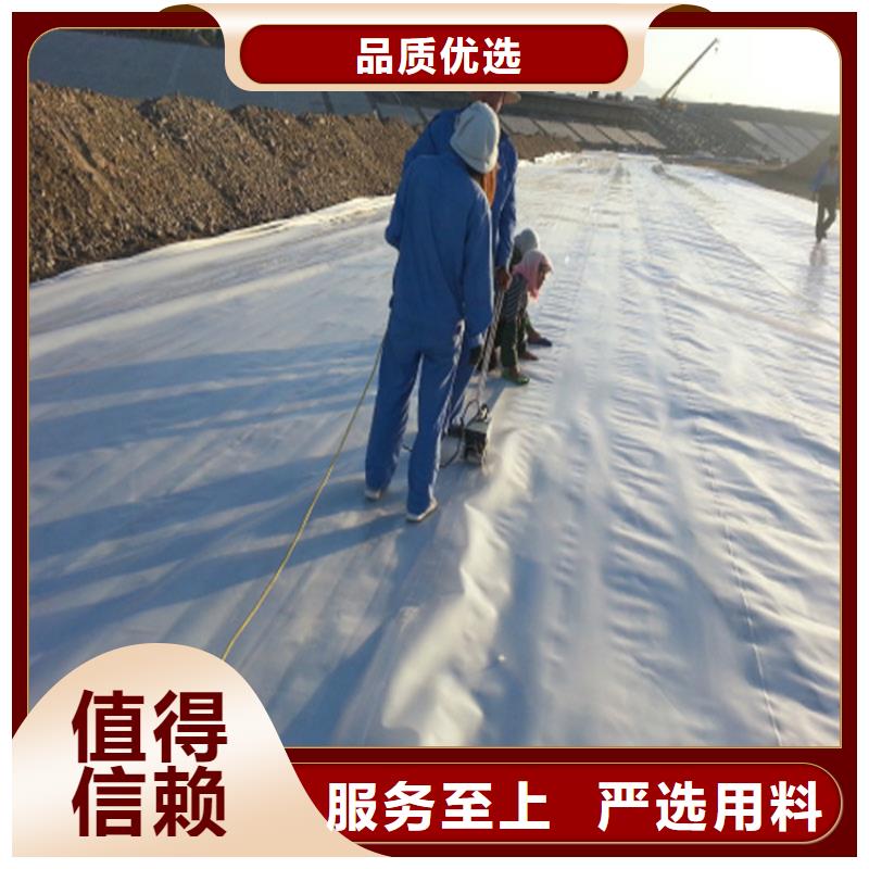 土工膜聚丙烯长丝土工布好货有保障同城服务商