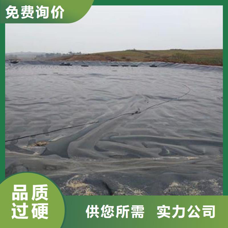 【土工膜_土工布专业厂家】同城服务商