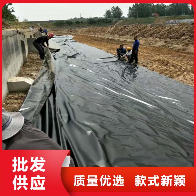 土工膜土工布品种全厂家直销省心省钱