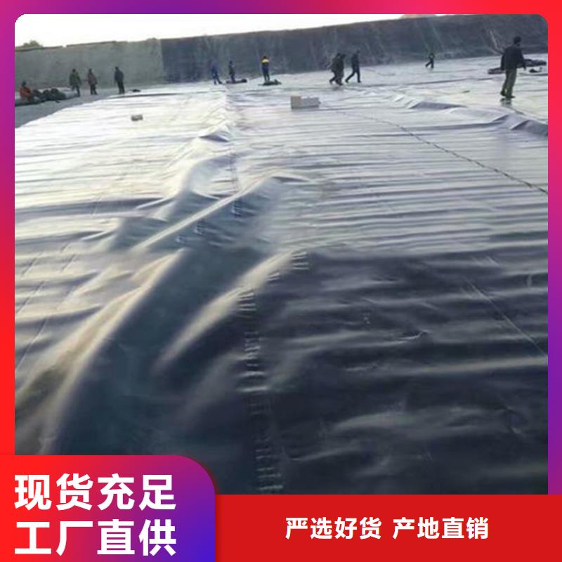 【土工膜双向塑料土工格栅实拍展现】可定制