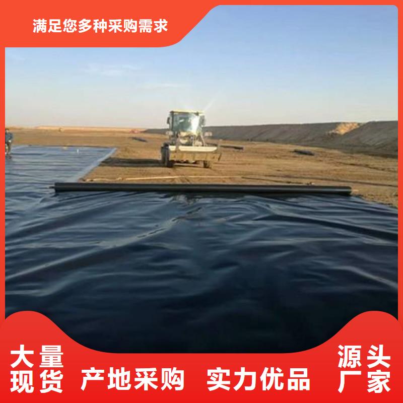 土工膜生态带定制销售售后为一体本地公司