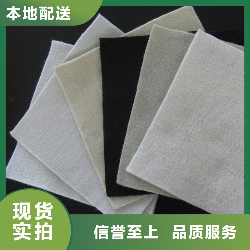 土工布-防水毯品牌企业当地厂家