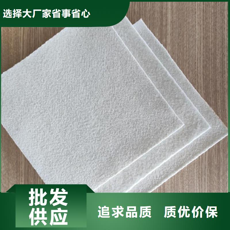 【土工布双向塑料土工格栅现货充足】当地厂家