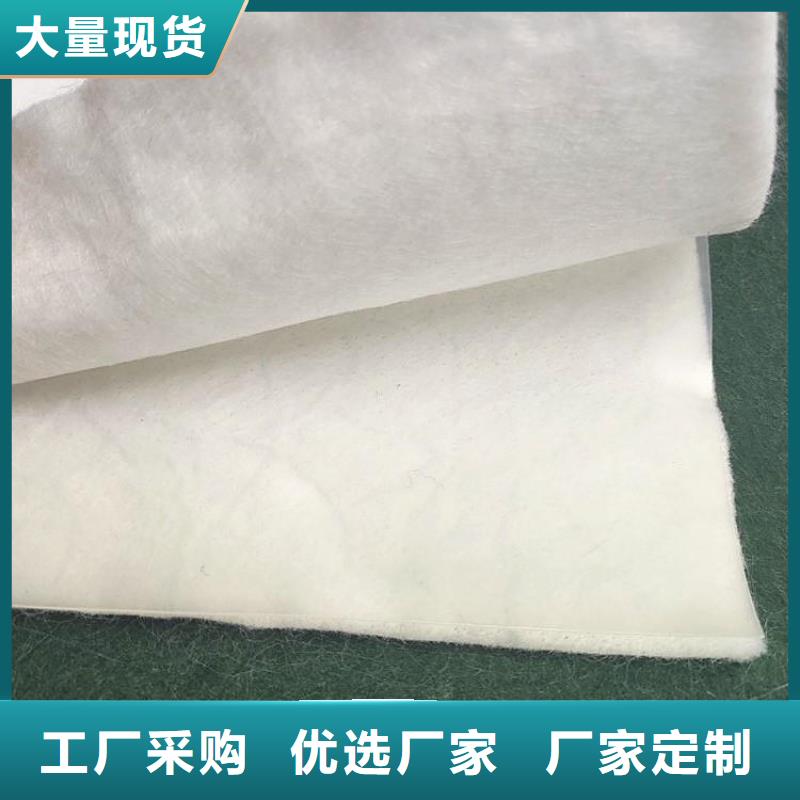 【土工布】塑料土工格栅海量库存当地公司