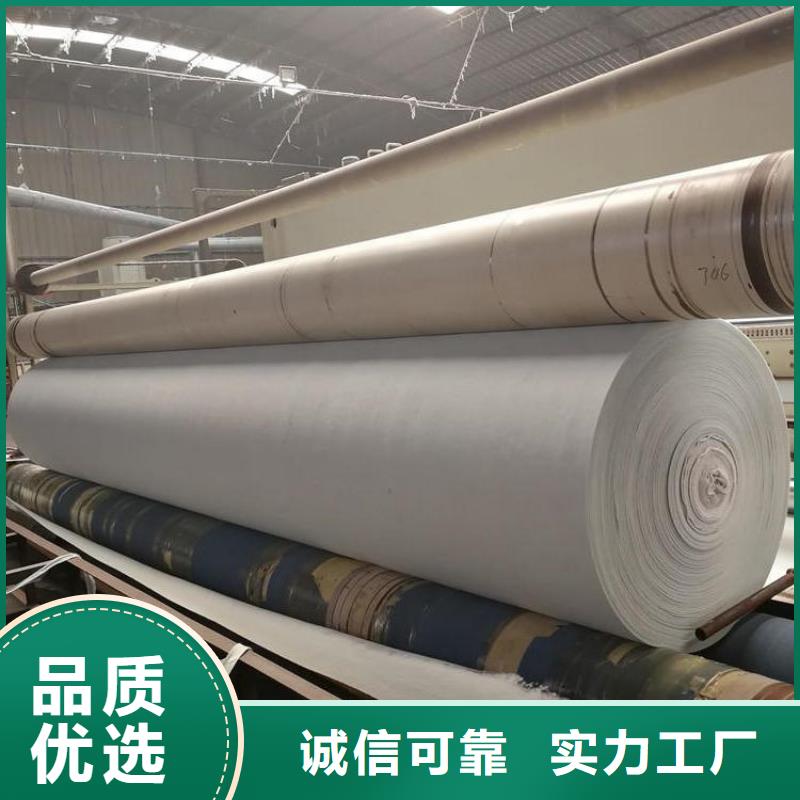 土工布土工膜价格有优势当地生产厂家