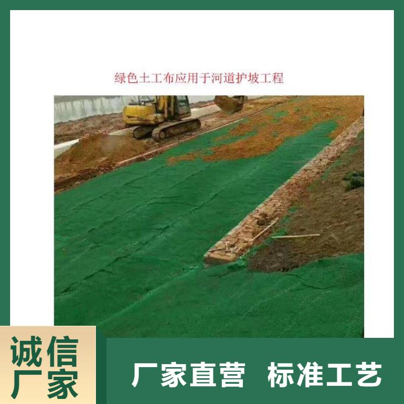 【土工布_防水板性能稳定】当地生产商