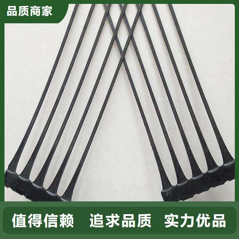 【土工格栅_土工膜厂家货源】支持定制