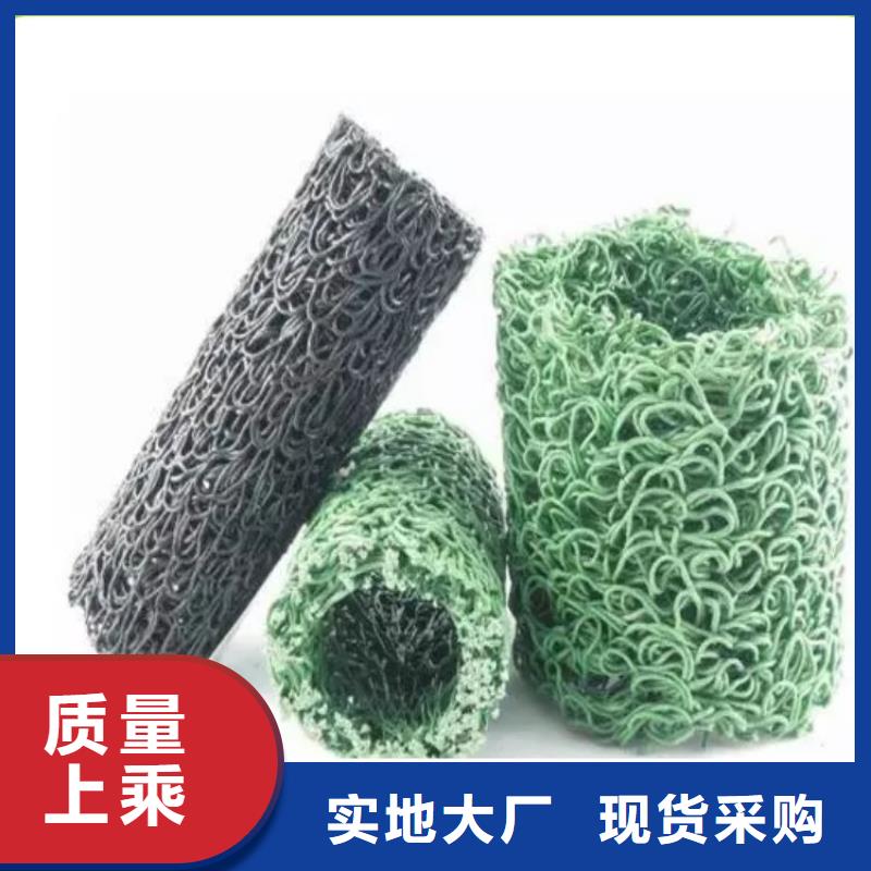 塑料盲沟双向土工格栅行业优选细节展示