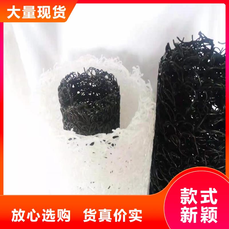 塑料盲沟HDPE土工膜品质优选本地公司