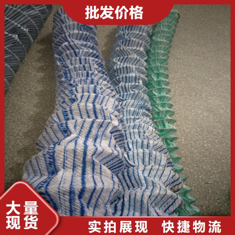 软式透水管植草格物美价优专业厂家
