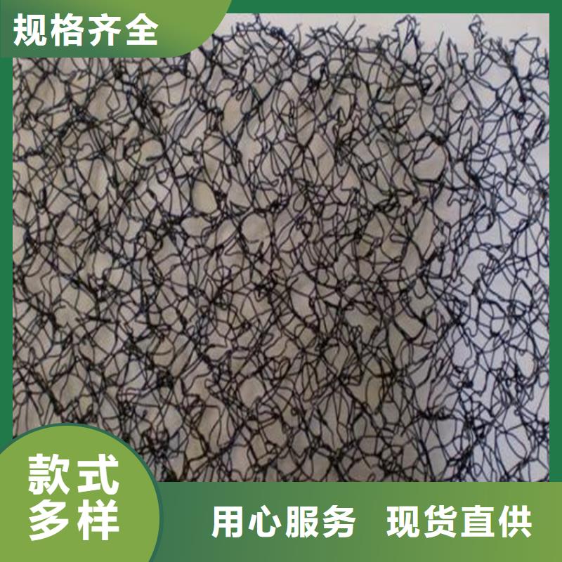 通风降噪丝网,三维植被网性能稳定同城服务商