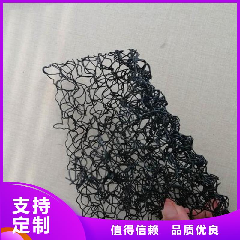 水土保护毯双向土工格栅物流配送高品质诚信厂家