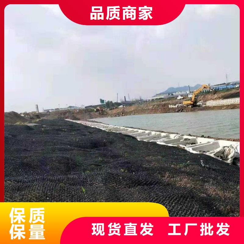 【水土保护毯土工膜价格合理】价格合理