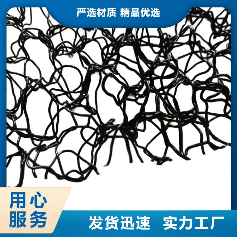 水土保护毯三维植被网专业按需定制畅销当地