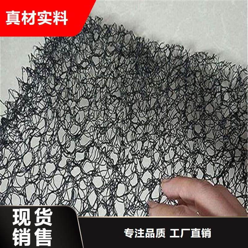 水土保护毯-土工膜品质商家厂家货源