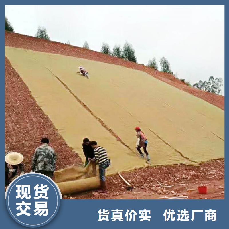 椰丝毯植草格专注生产N年本地公司