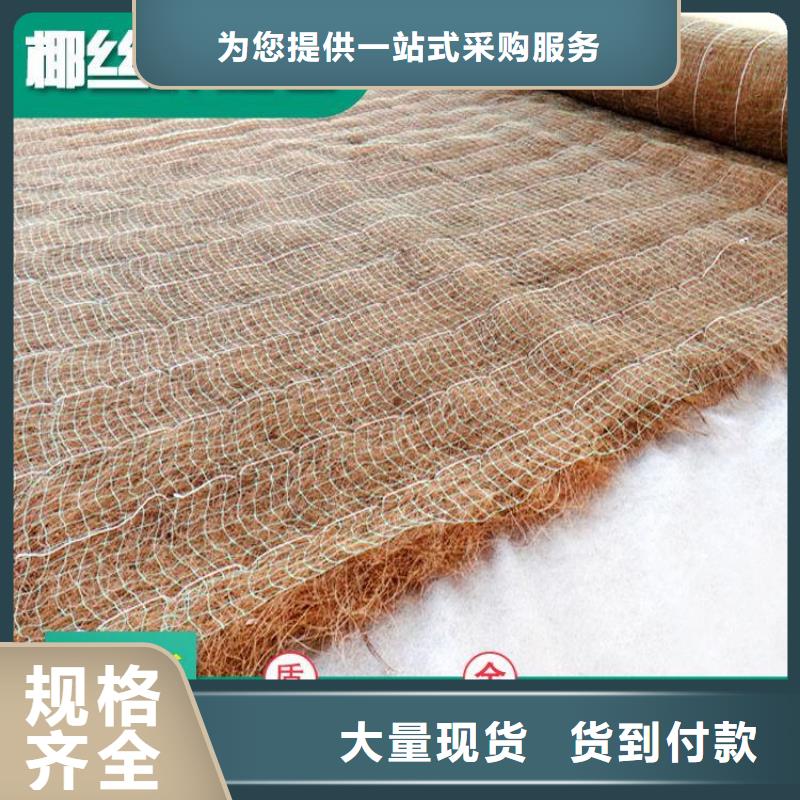 椰丝毯土工膜一致好评产品我们更专业