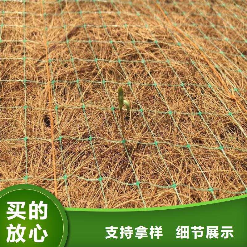 椰丝毯土工格栅厂家直销放心型号齐全