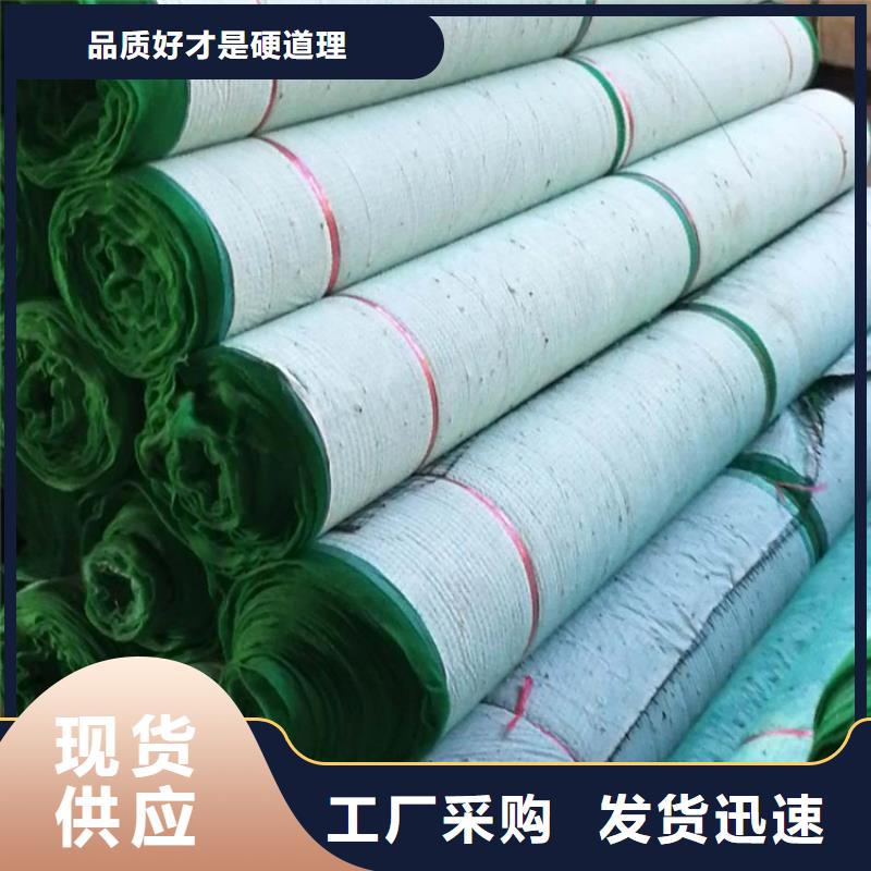 椰丝毯双向土工格栅免费寄样用途广泛