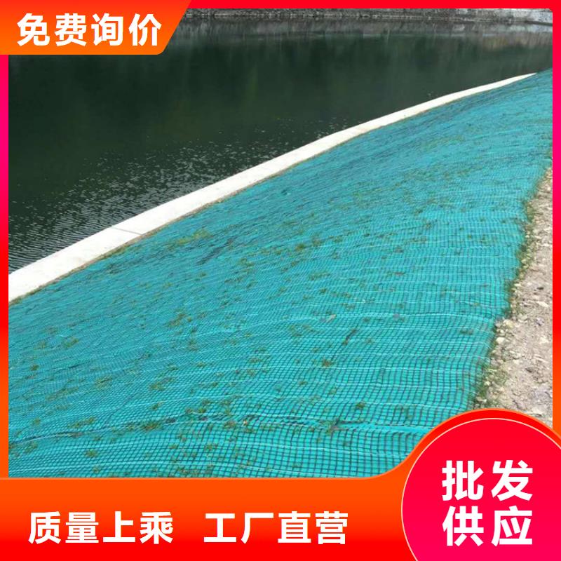 【椰丝毯】土工膜库存齐全厂家直供拥有核心技术优势