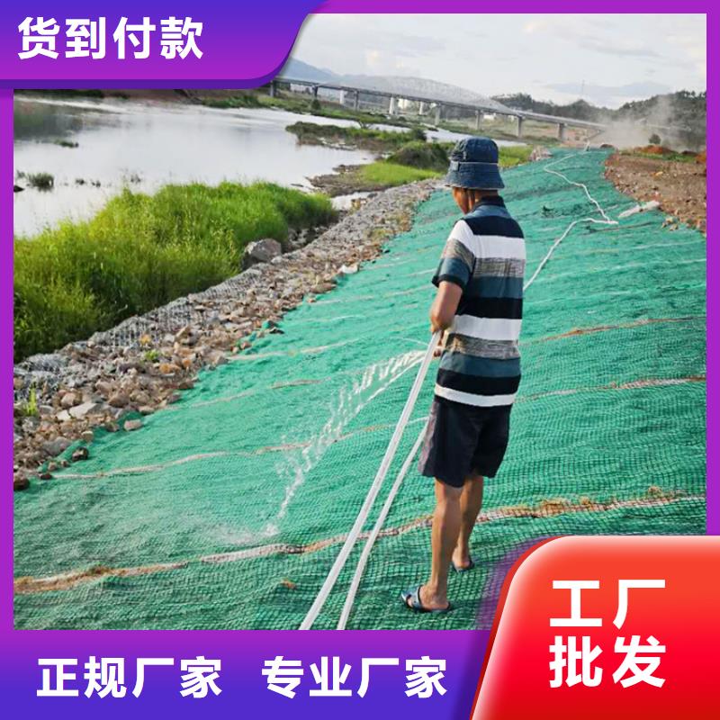 椰丝毯HDPE土工膜符合标准专注细节专注品质