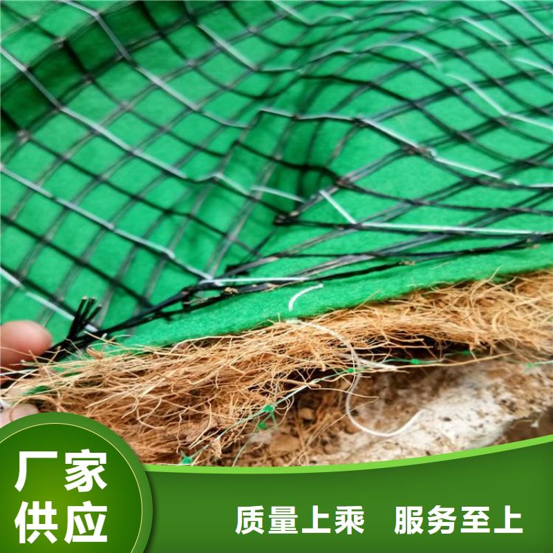 椰丝毯植草格供您所需当地生产商