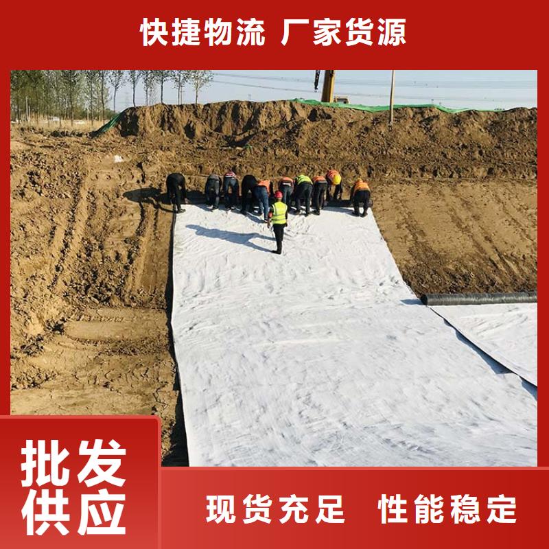 【膨润土防水毯聚酯布来图定制】好货直销