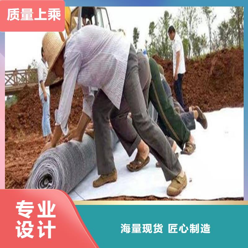 膨润土防水毯三维植被网真正的源头厂家本地生产厂家