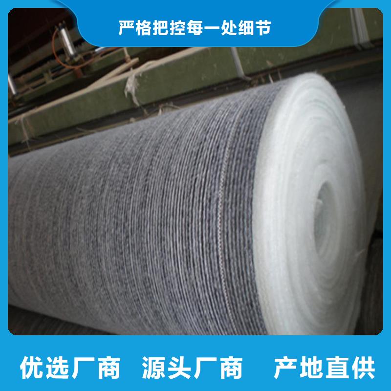 膨润土防水毯土工膜工厂现货供应当地厂家