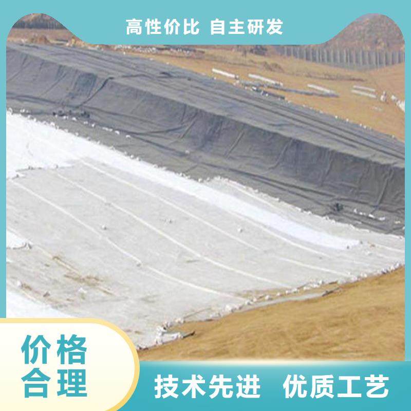 膨润土防水毯_土工布支持定制加工同城供应商