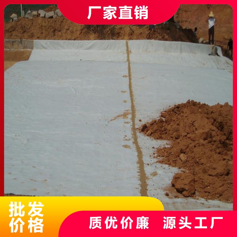 膨润土防水毯【聚酯长丝土工布】种类齐全当地生产厂家