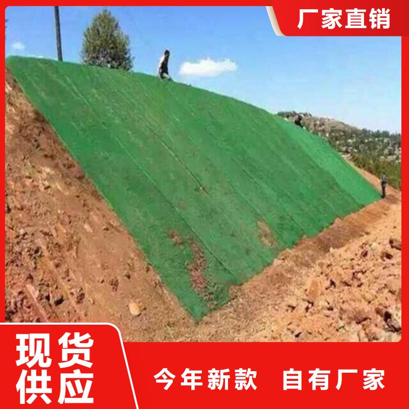 三维植被网防渗膜厂家直销厂家货源