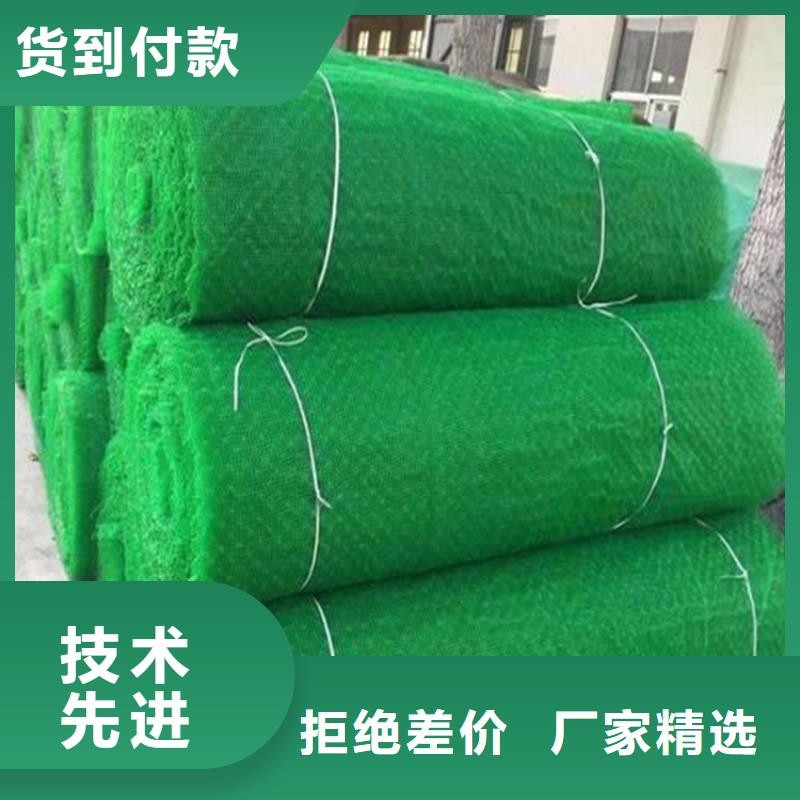 三维植被网_HDPE土工膜厂家直销放心品质之选