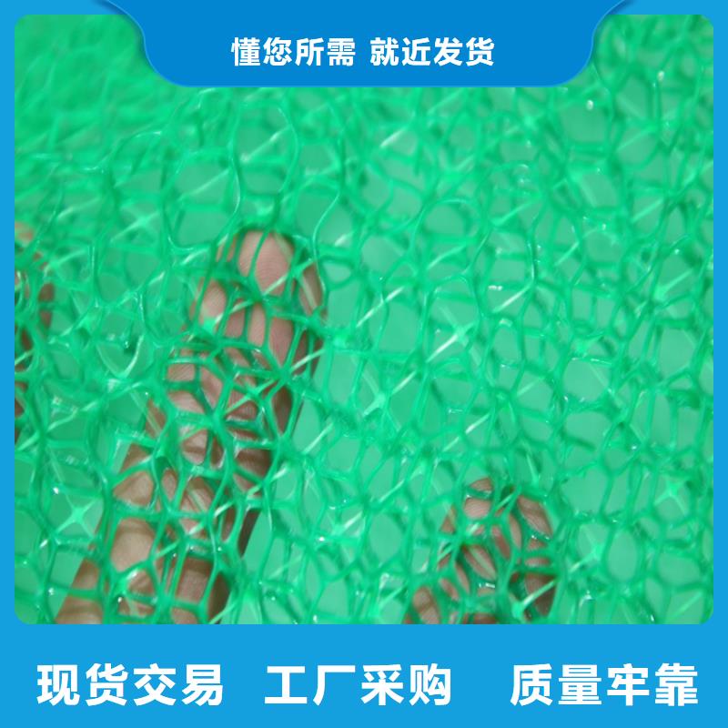 三维植被网【塑料盲沟】库存充足严选用料