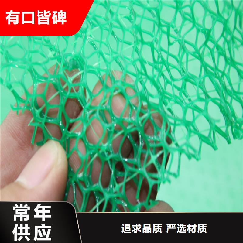 三维植被网HDPE土工膜好产品放心购本地生产商