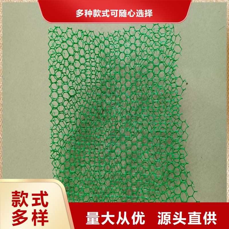 三维植被网钢塑土工格栅来图加工定制设计制造销售服务一体