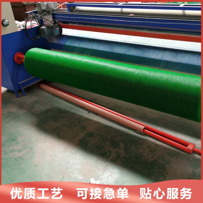 三维植被网排水板制造生产销售当地厂家