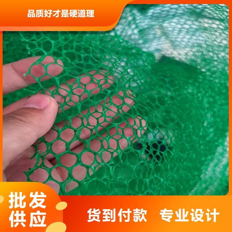 三维植被网土工格室资质认证现货直发