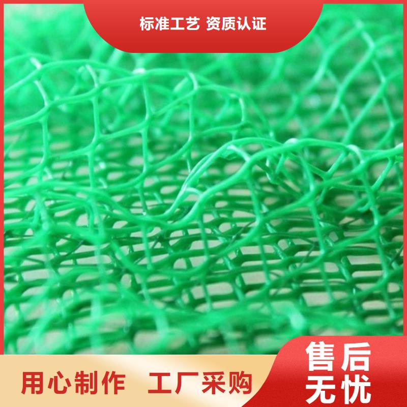 【三维植被网HDPE土工膜海量现货直销】工厂直供