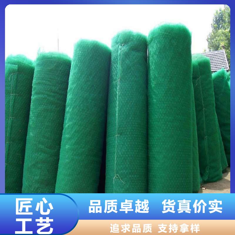 三维植被网_土工格栅符合行业标准一对一为您服务