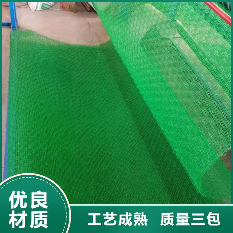 【三维植被网】土工网用心做好每一件产品48小时发货