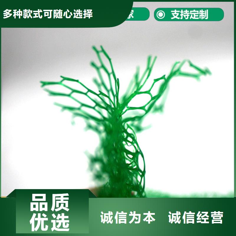 三维植被网HDPE土工膜本地厂家值得信赖源头把关放心选购