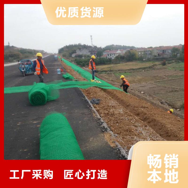 三维植被网土工膜库存齐全厂家直供省心又省钱